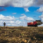 Ukrainian mine flail